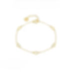 Gold Horse Shoes Lucky Chain Bracelet