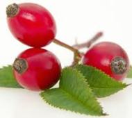 rosehip oil for hair care