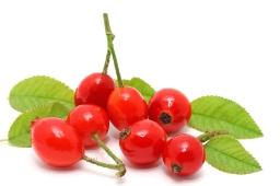 Rosehip Oil Benefits